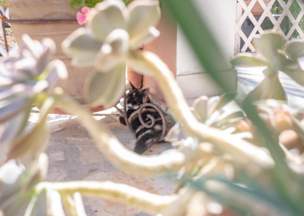 Ilia'S Holiday Home Peritheia Luaran gambar